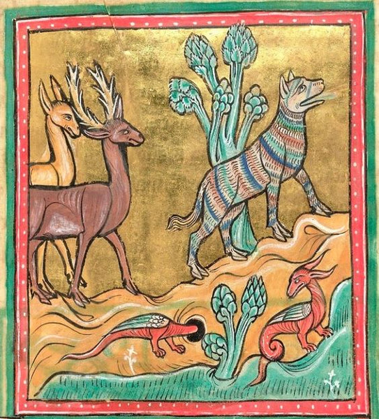 Rochester bestiary's panther