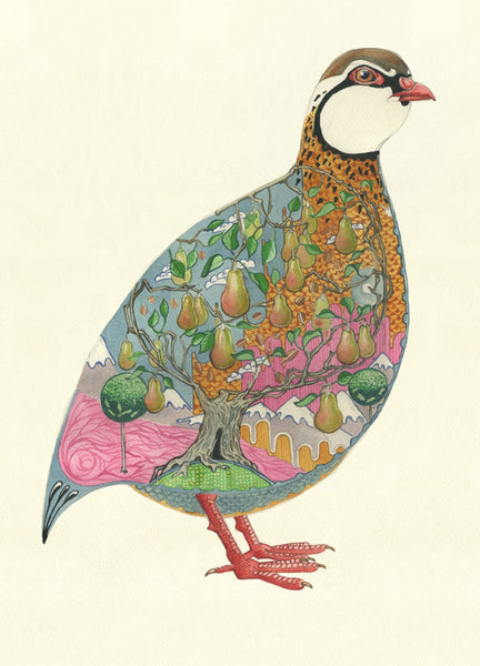 Partridge watercolour painting
