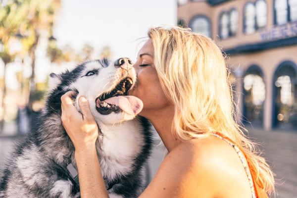 Want to Be Healthier and Smarter? Get a Dog