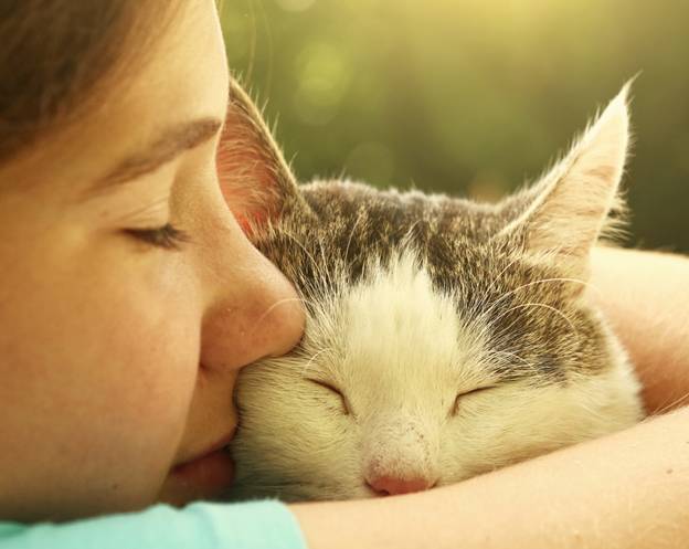 5 Psychological Benefits to Having Pets at Home