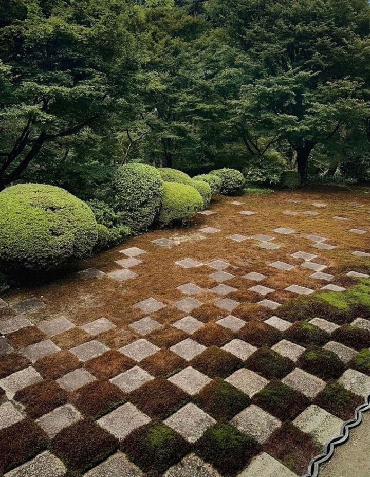 The Moss Garden by Tōfuku-ji, Kyoto, Japan
