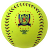 Custom Softball