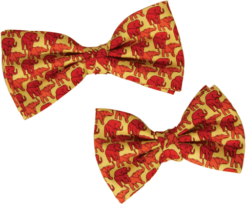 Matching Father & Son Bow Ties