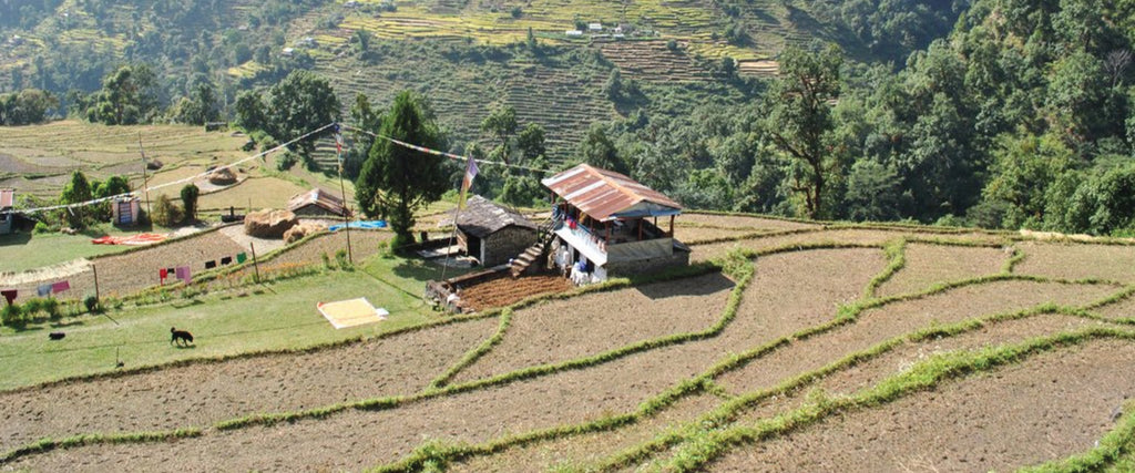 Villages along Annapurna base camp hike