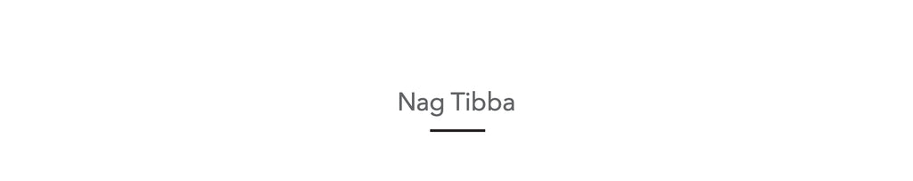 Nag Tibba hike