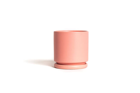 4.5" Gemstone Cylinder Pots w/Saucer
