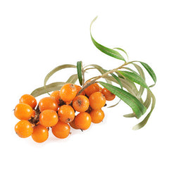 VERY BERRY | Zumo 100% Espino Amarillo 33 cl Sin azúcar añadido