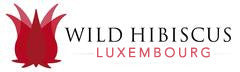 Luxembourg Wild Hibsicus