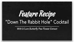 Feature Recipe b'Lure