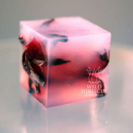 wild hibiscus exoticube jelly