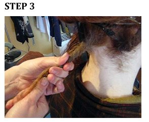 How to make and grow dreadlocks... step 3.