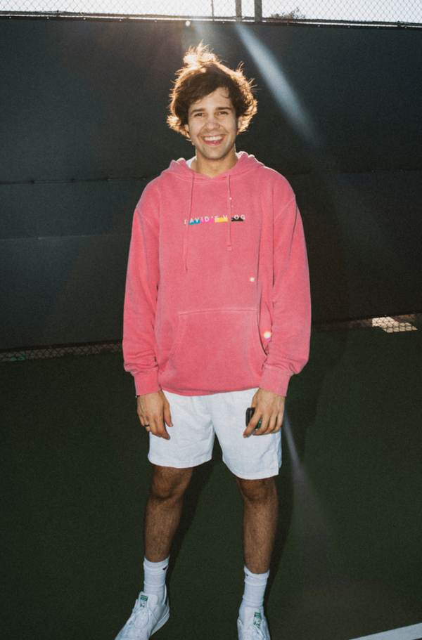 david dobrik pink cropped hoodie