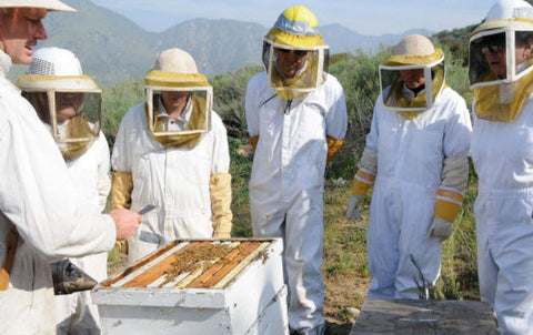 Los Angeles County Beekeepers Association Beekeeping Class 101