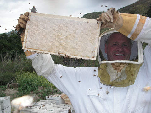 Beekeeping – From Science to Practice