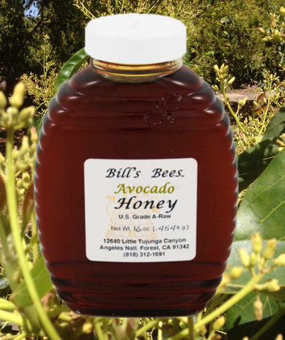Bill's Bees 100% Raw Avocado Honey