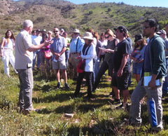 Bill shows bee forage