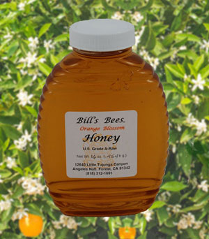 Bill's Bees Orange Blossom Honey