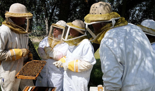 Bills Bees teaches Beekeeping Classes for LA County Beekeepers Assoc