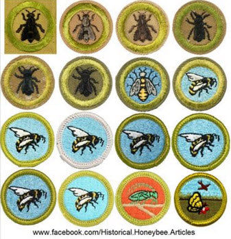 Boy Scouts of America Bee Keeping Merit Badges