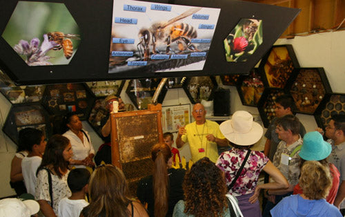Clyde Steeses teaches at LA County Fair Bee Booth