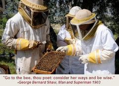 Beekeeping Class 101