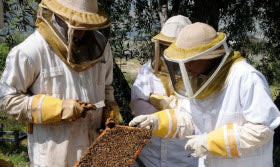 Beekeeping Class 101 at Bill's Bees Bee Farm