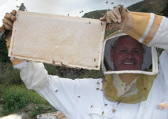 Bill's Bees honey frame