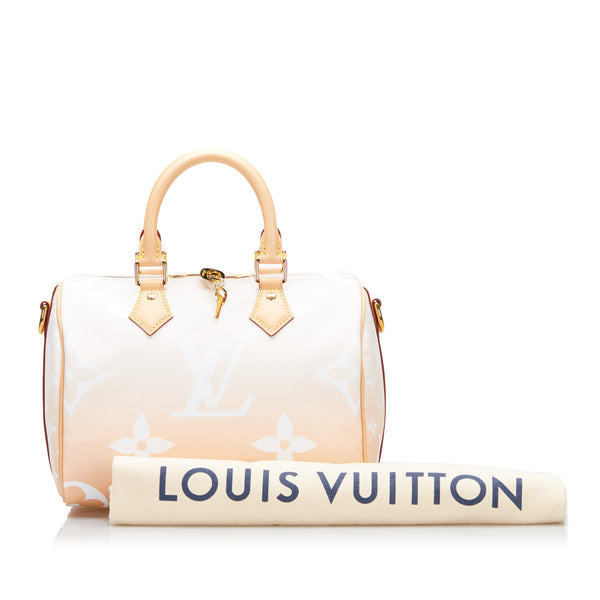 Shop Louis Vuitton MONOGRAM LOUIS VUITTON LV By The Pool Mini