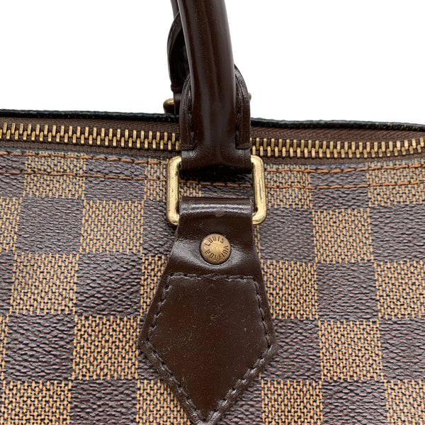 Sac Louis Vuitton Dandy MM en Cuir Epi