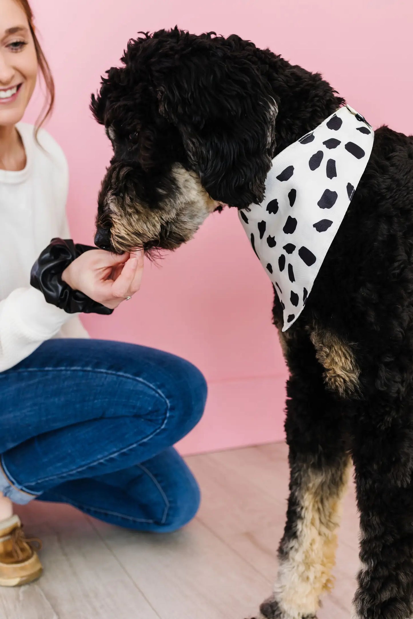 Spotted Pet Bandana + Scrunchie  Slide on Collar