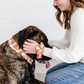 Floral Pet Bandana + Scrunchie Slide on Collar