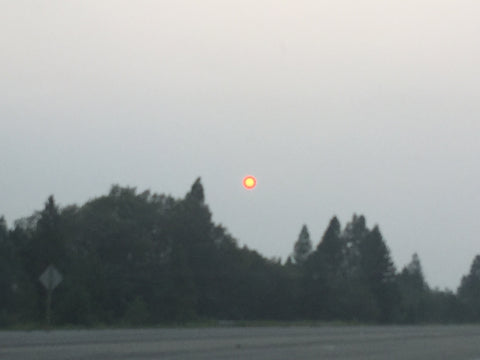 the sun at 4pm without a filter because of the crazy wildfires