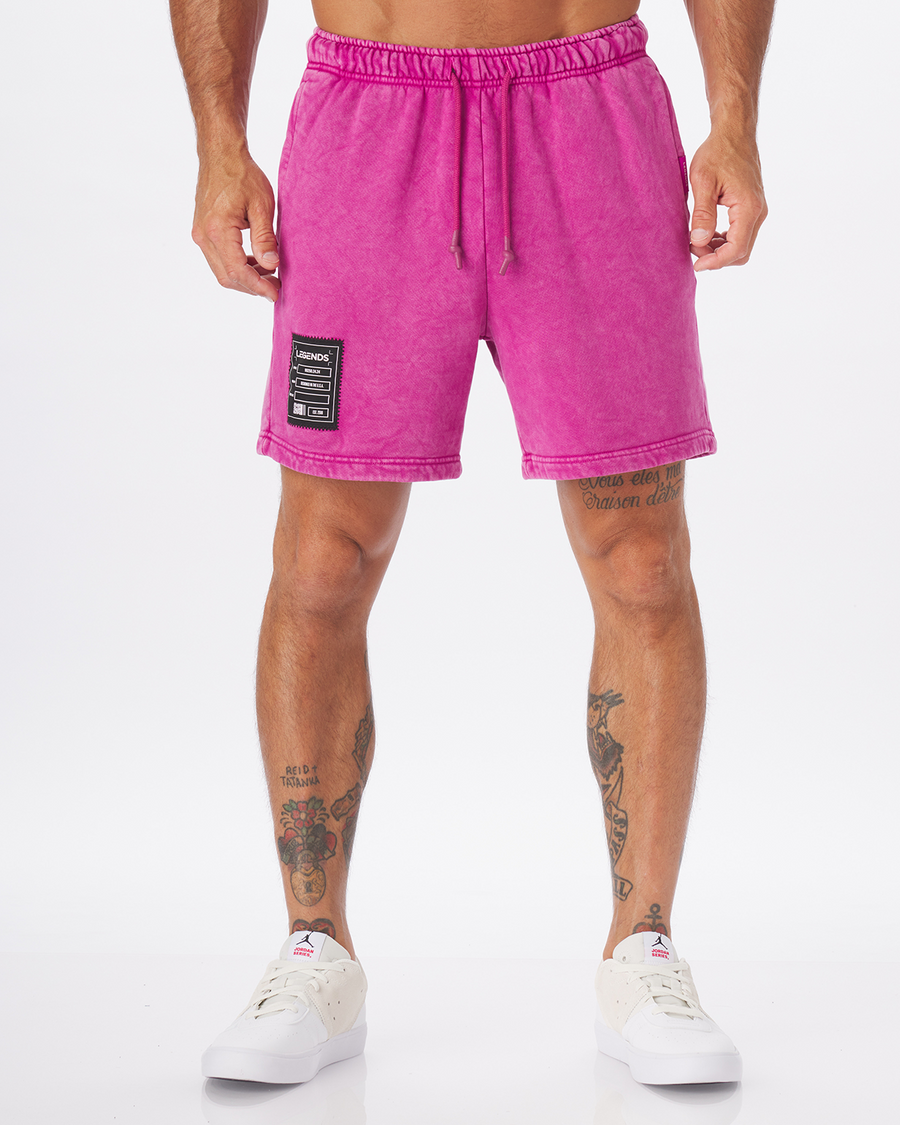 Fairfax Sweat Short Washed Purple Tide