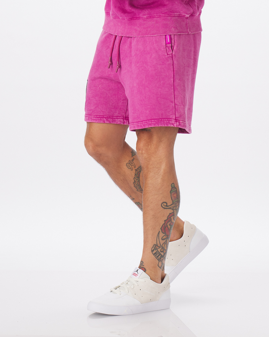 Fairfax Sweat Short Washed Purple Tide