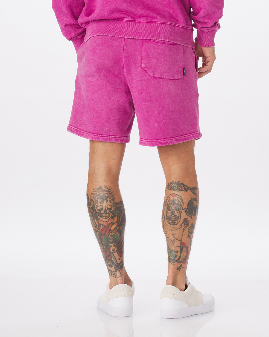 Fairfax Sweat Short Washed Purple Tide