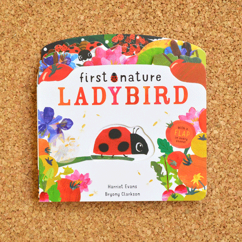 First Nature: Ladybird