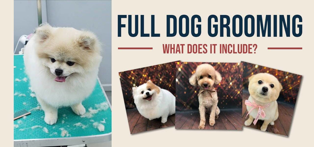 whats included in dog grooming