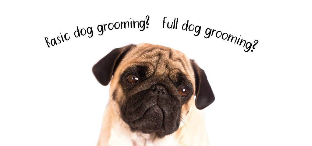 full grooming for dogs