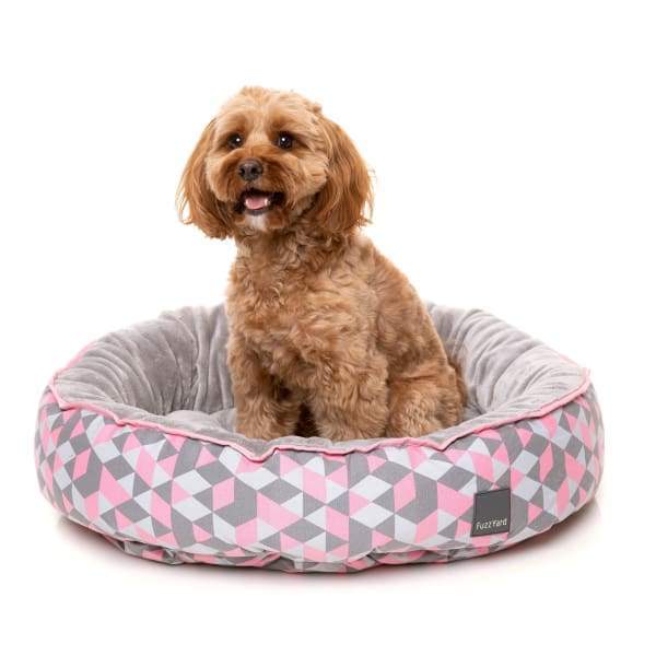 female dog beds