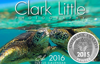 2015 Gold Ink Awards - Pewter Medal