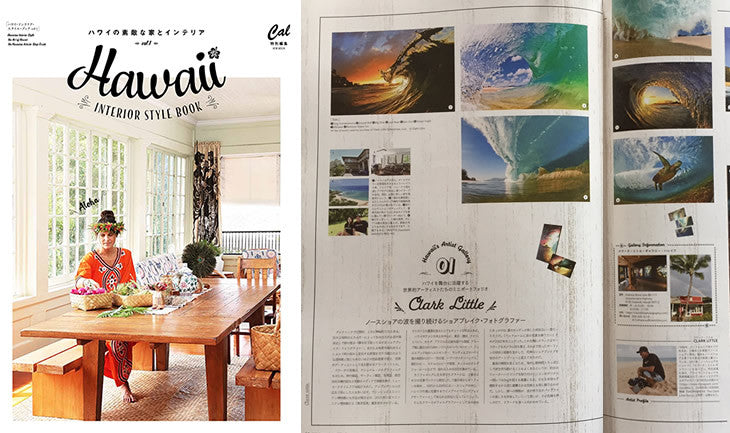 Hawaii Interior Style Book - Article