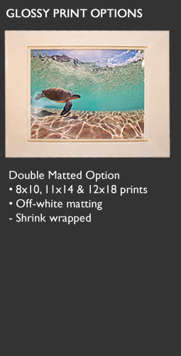 Double Matted Option
