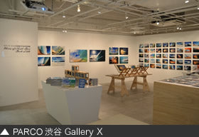 Parco Gallery X