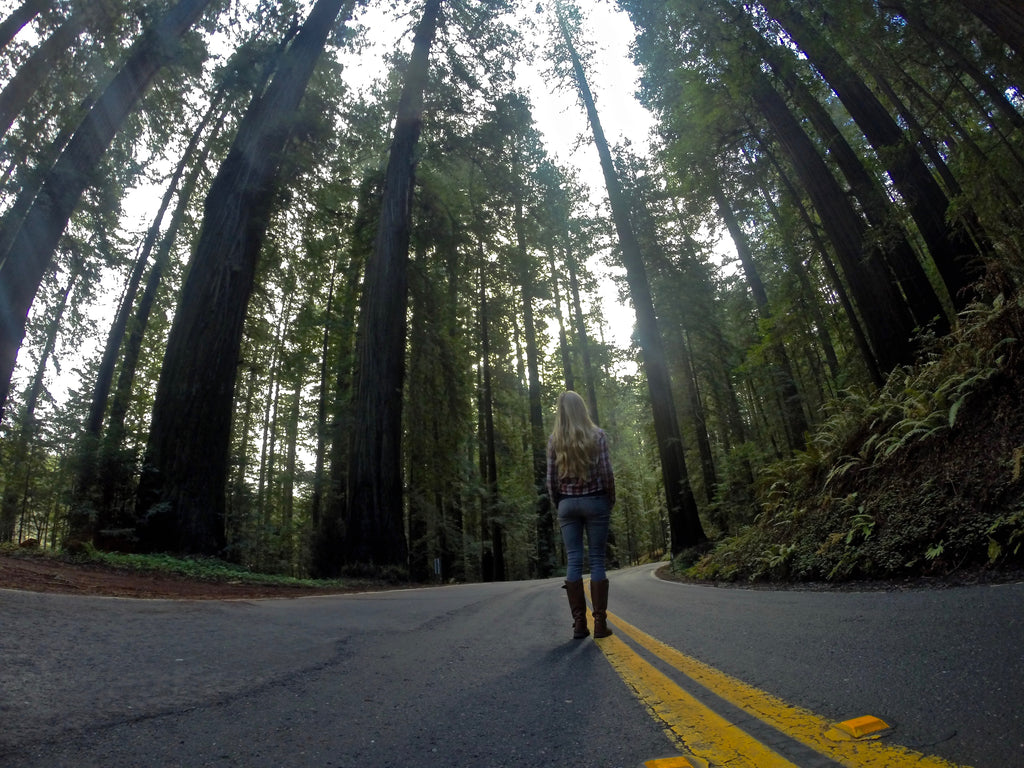 Redwoods