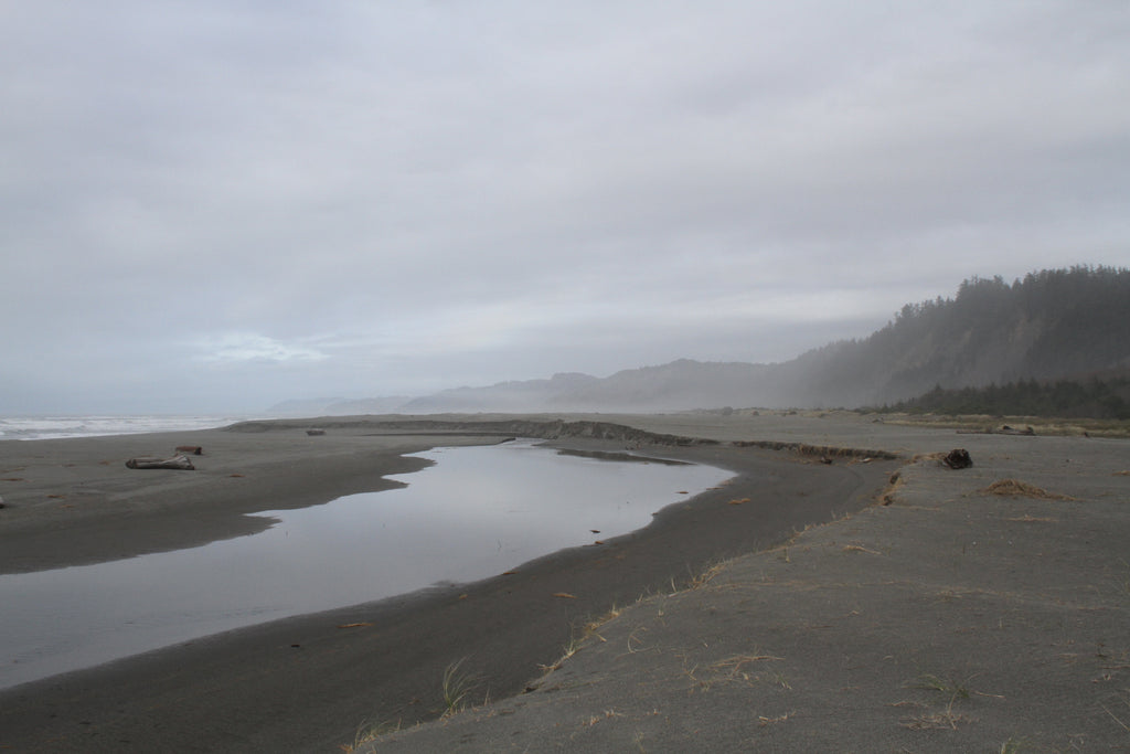 Gold Bluffs Beach 