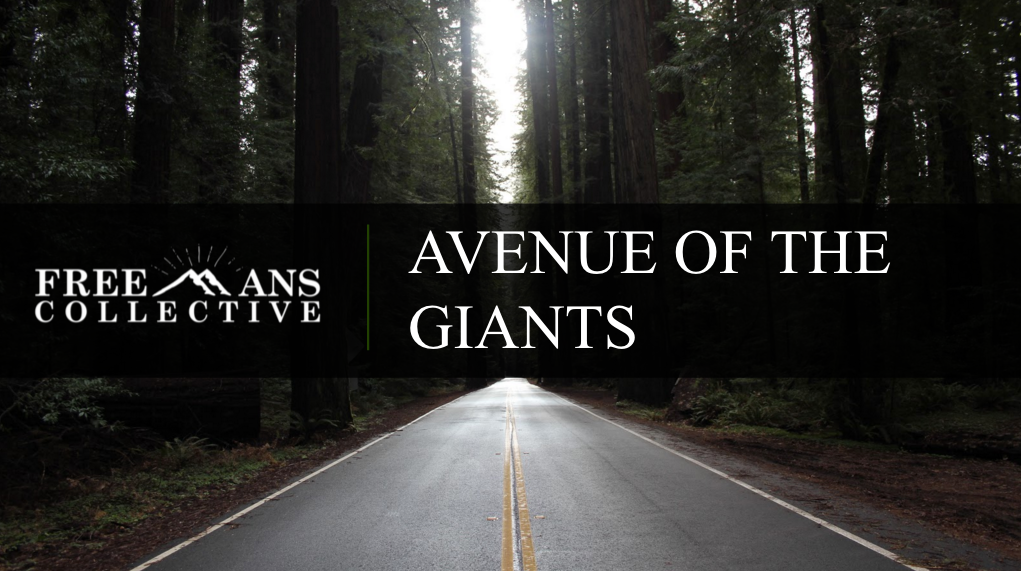 Avenue of the Giants