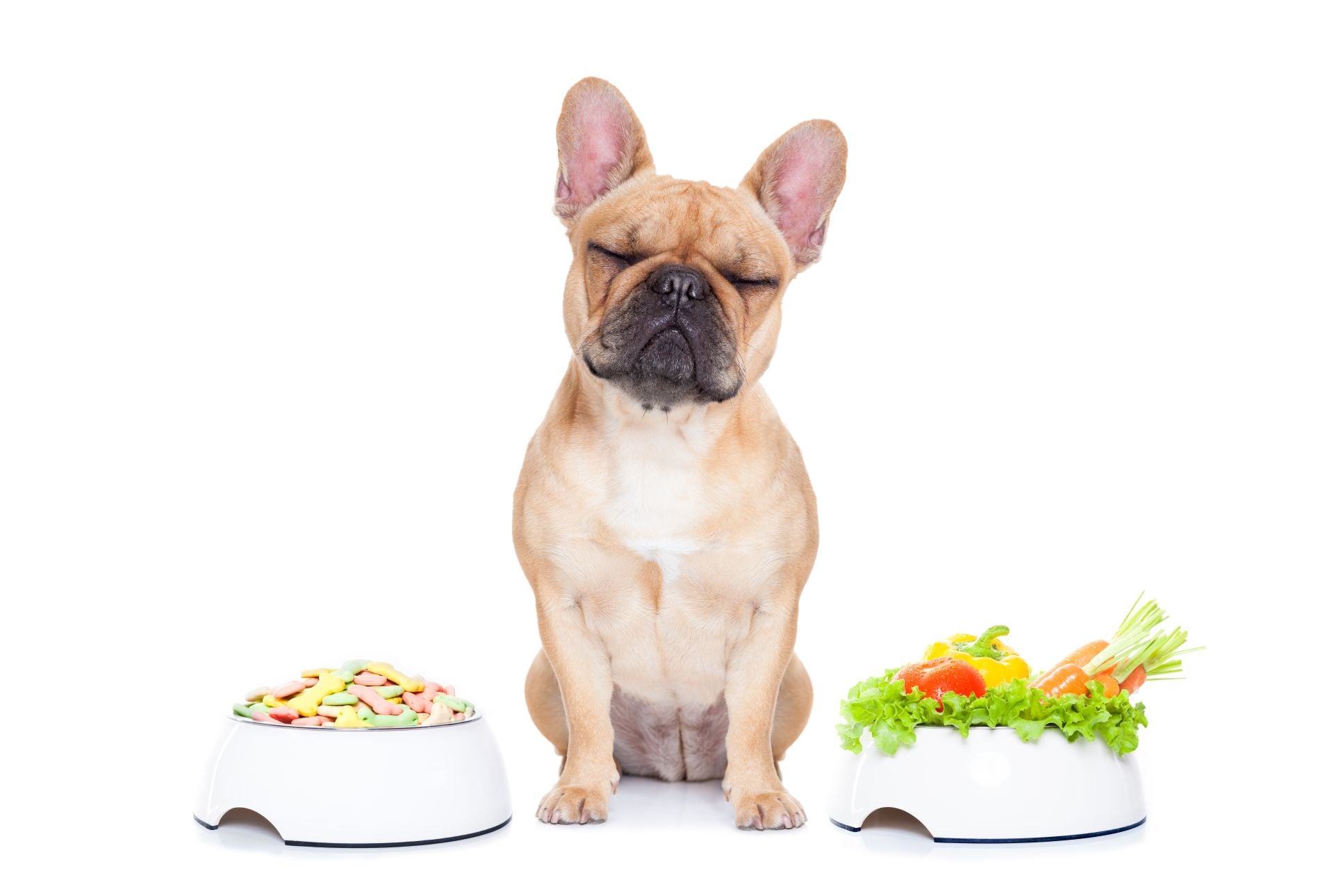 What Are Natural Foods For Dogs