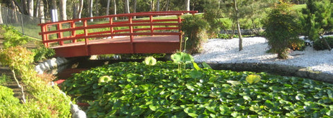 Japanese Garden (Kenneth Hahn State Park) Meditation Los Angeles
