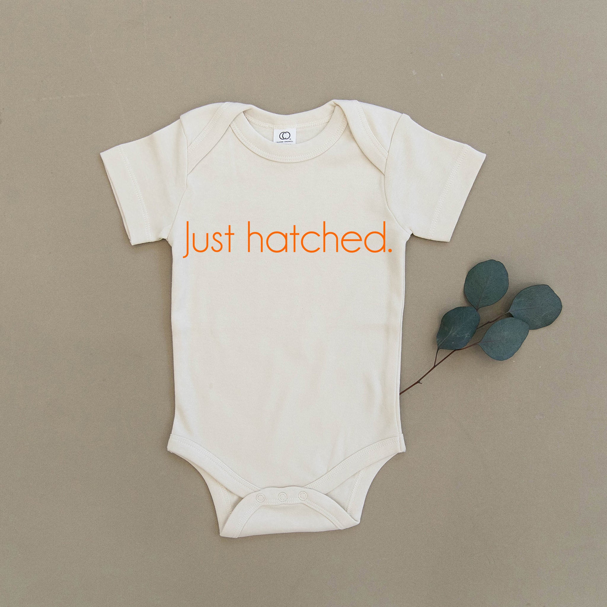 just hatched newborn outfit