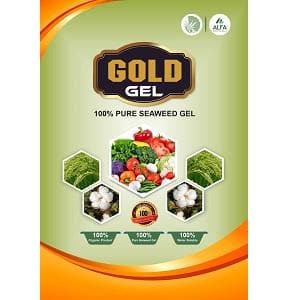 Seaweed Gel Buy Online Bighaat Com